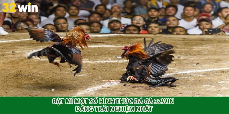 Bật mí một số hình thức đá gà 32win đáng trải nghiệm nhất