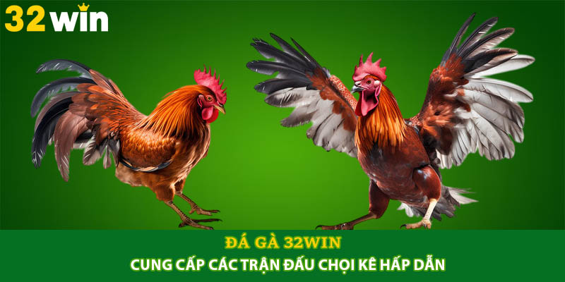 Đá gà 32win