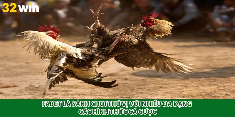 Fabet là sảnh chơi thú vị với nhiều đa dạng các hình thức cá cược