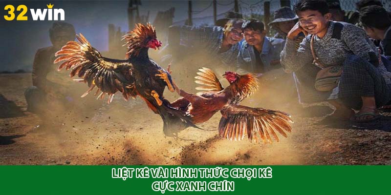 Liệt kê vài hình thức chọi kê cực xanh chín