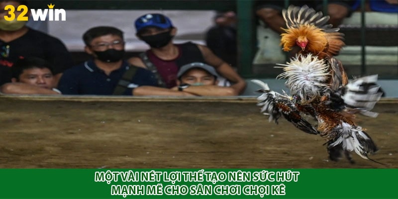 Một vài nét lợi thế tạo nên sức hút mạnh mẽ cho sân chơi chọi kê