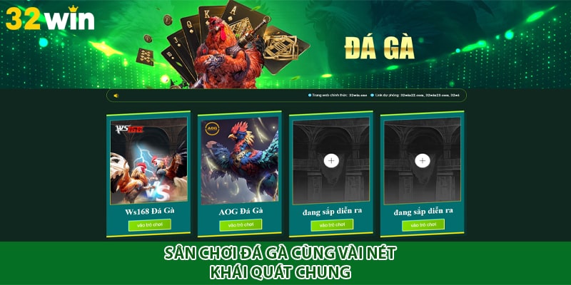 Sân chơi đá gà cùng vài nét khái quát chung 
